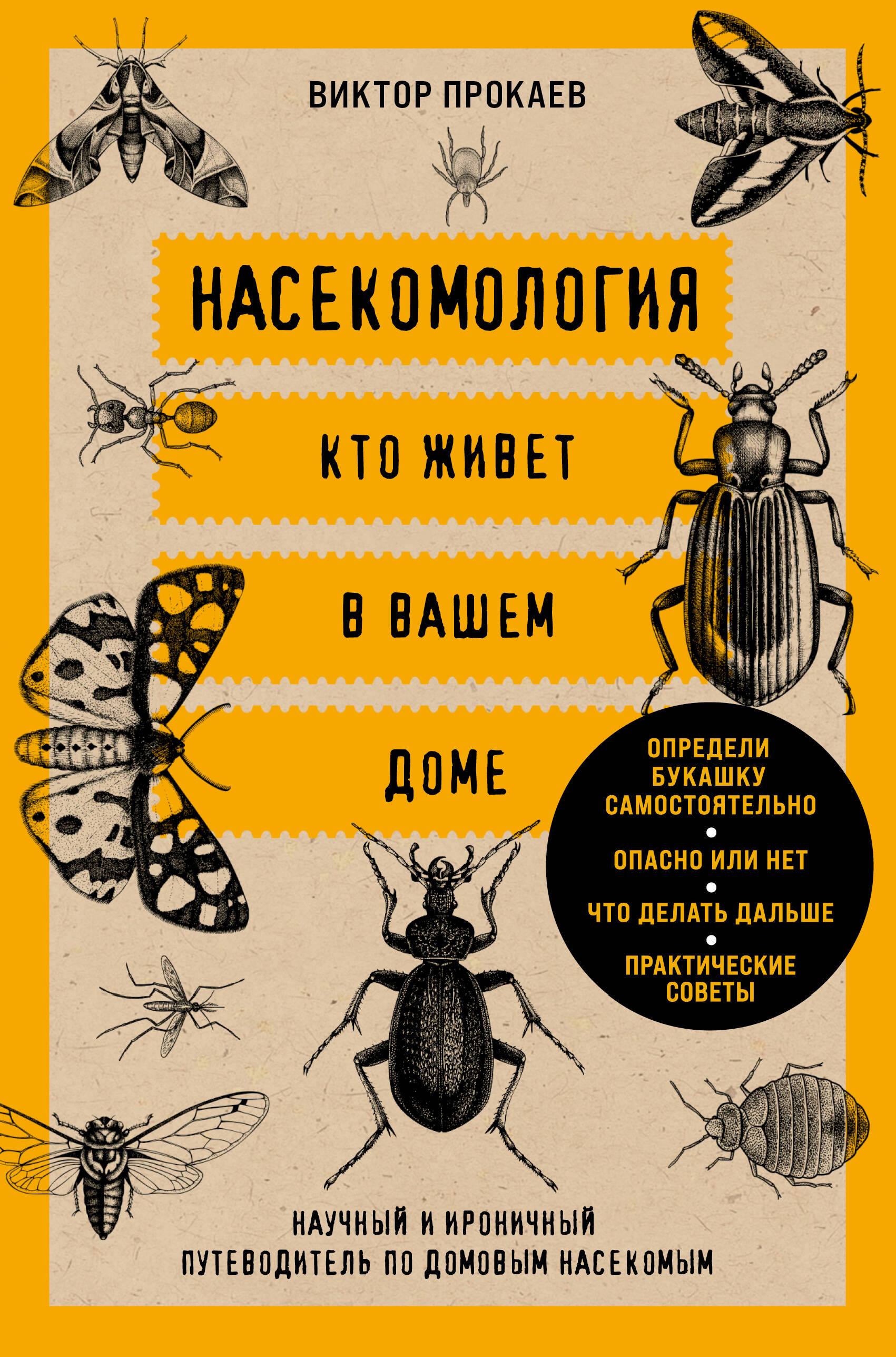 Насекомология. Кто живет в вашем доме: научный и ироничный путеводитель по домовым