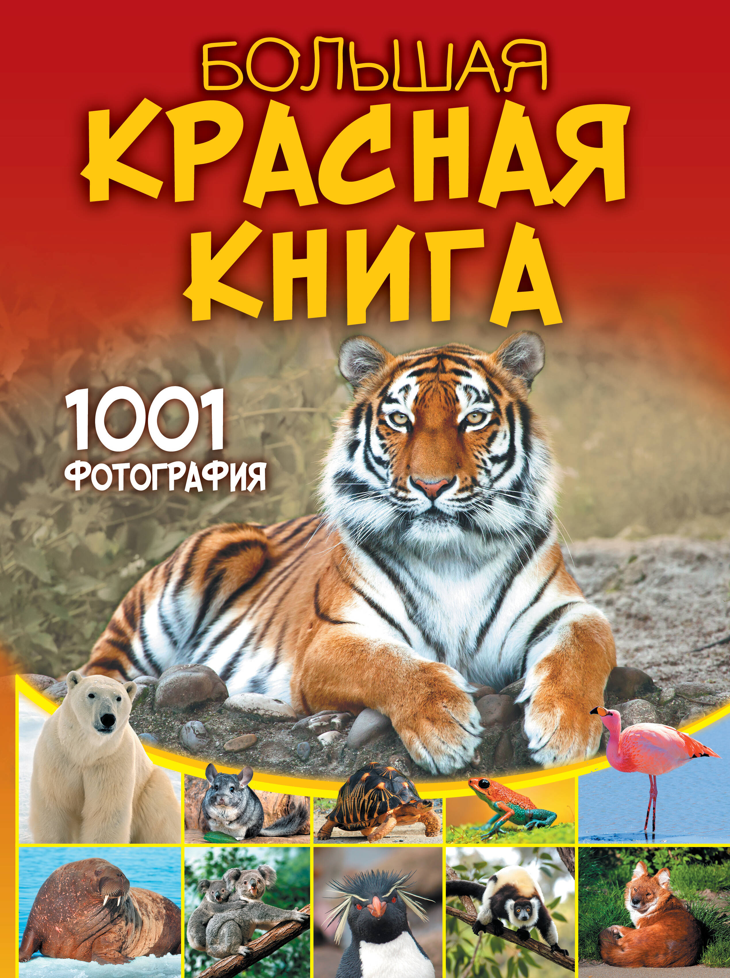 Большая красная книга 1001 фотография