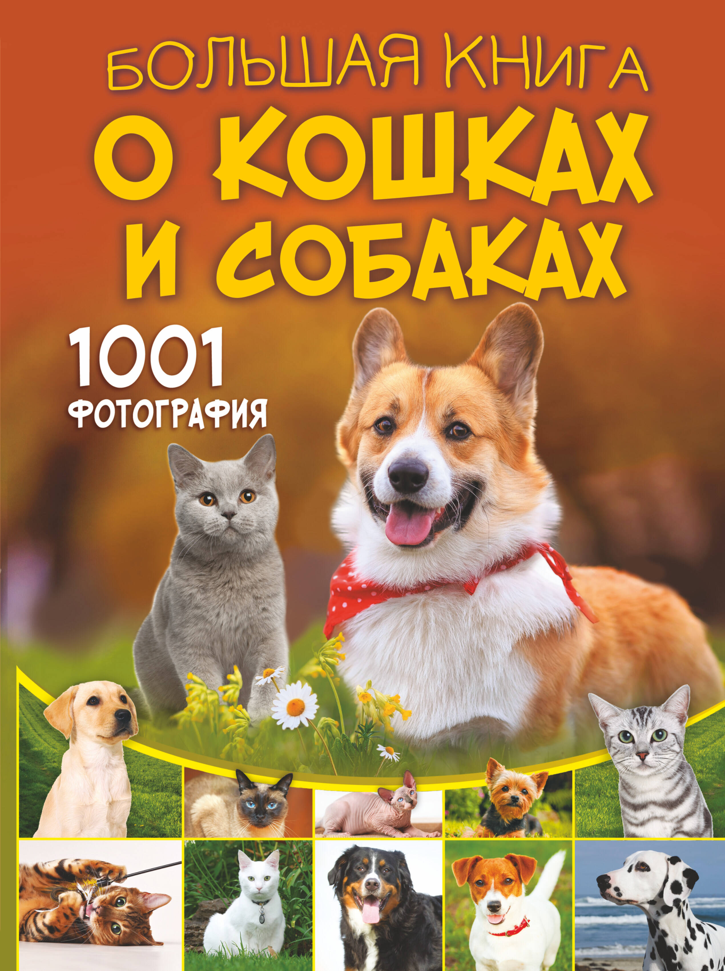 Книга невероятных научных фактов