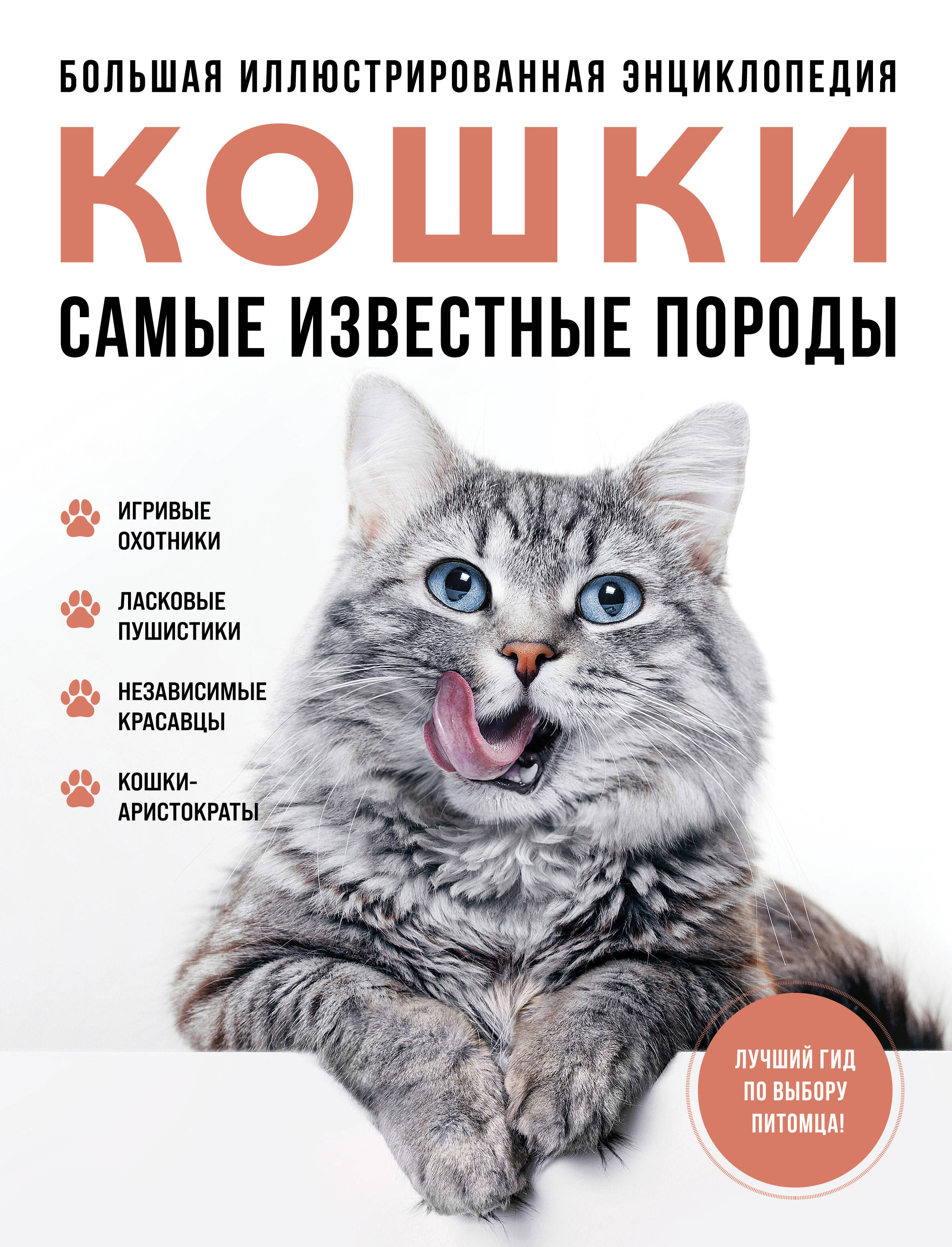 Бабочки! Маленькая энциклопедия. Обаятельная книжка о красивом существе