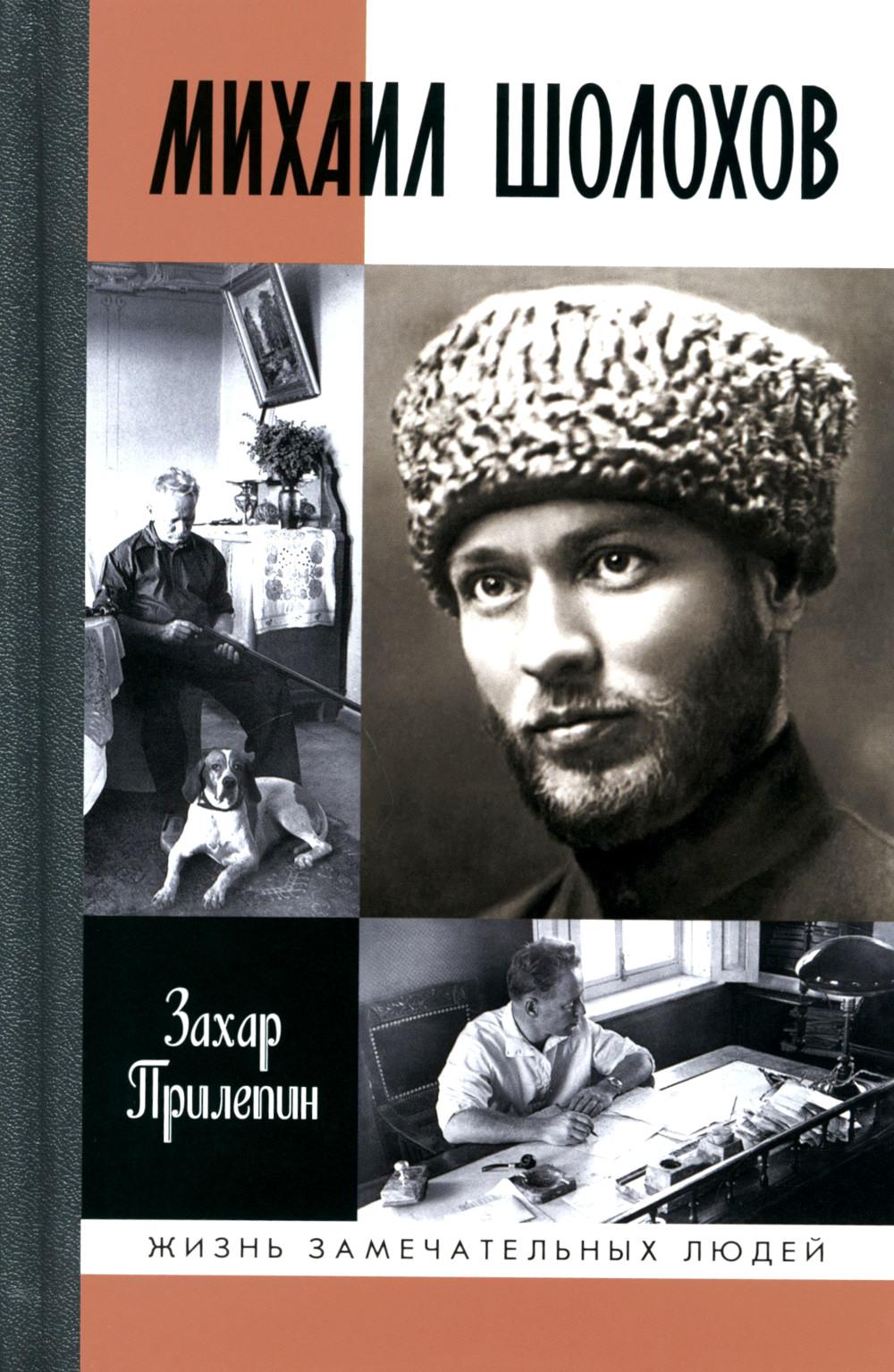 Шолохов Незаконный