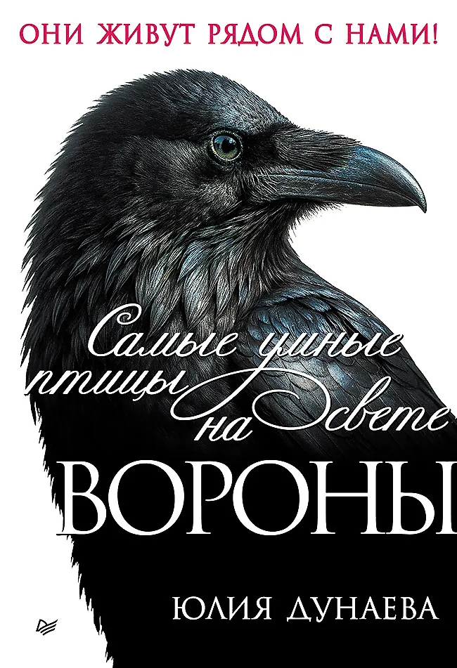 Самые умные птицы на свете Вороны