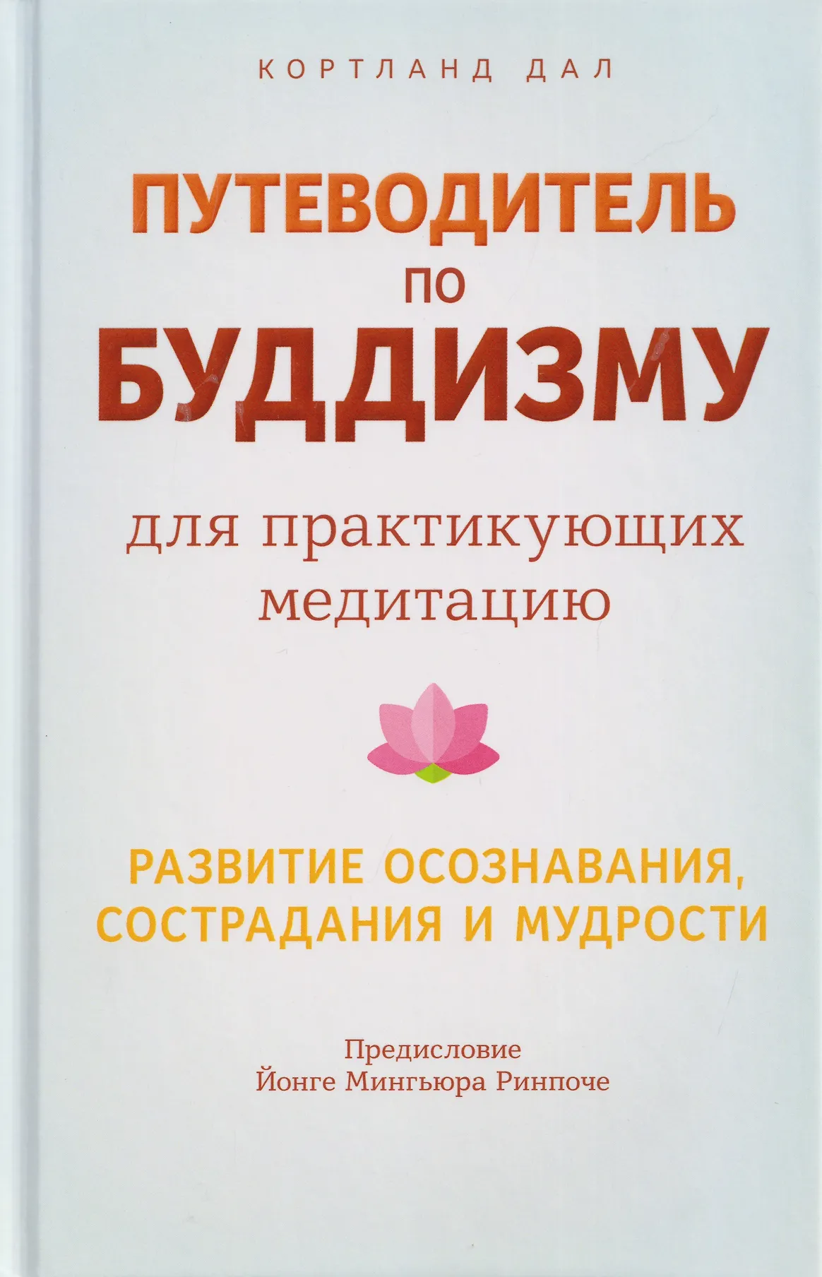 Путеводитель по буддизму для практикующих медитацию Развитие осознавания сострад