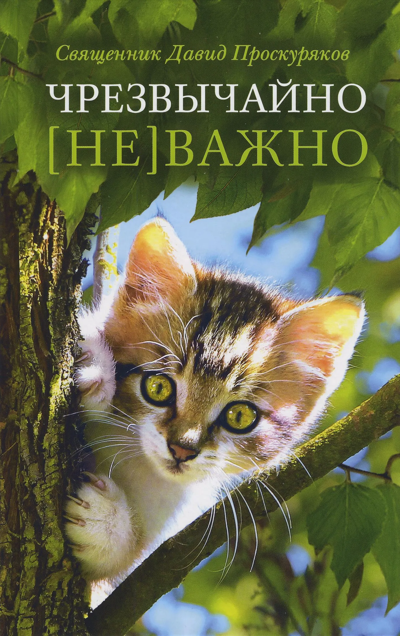 Чрезвычайно (не)важно. Сборник рассказов