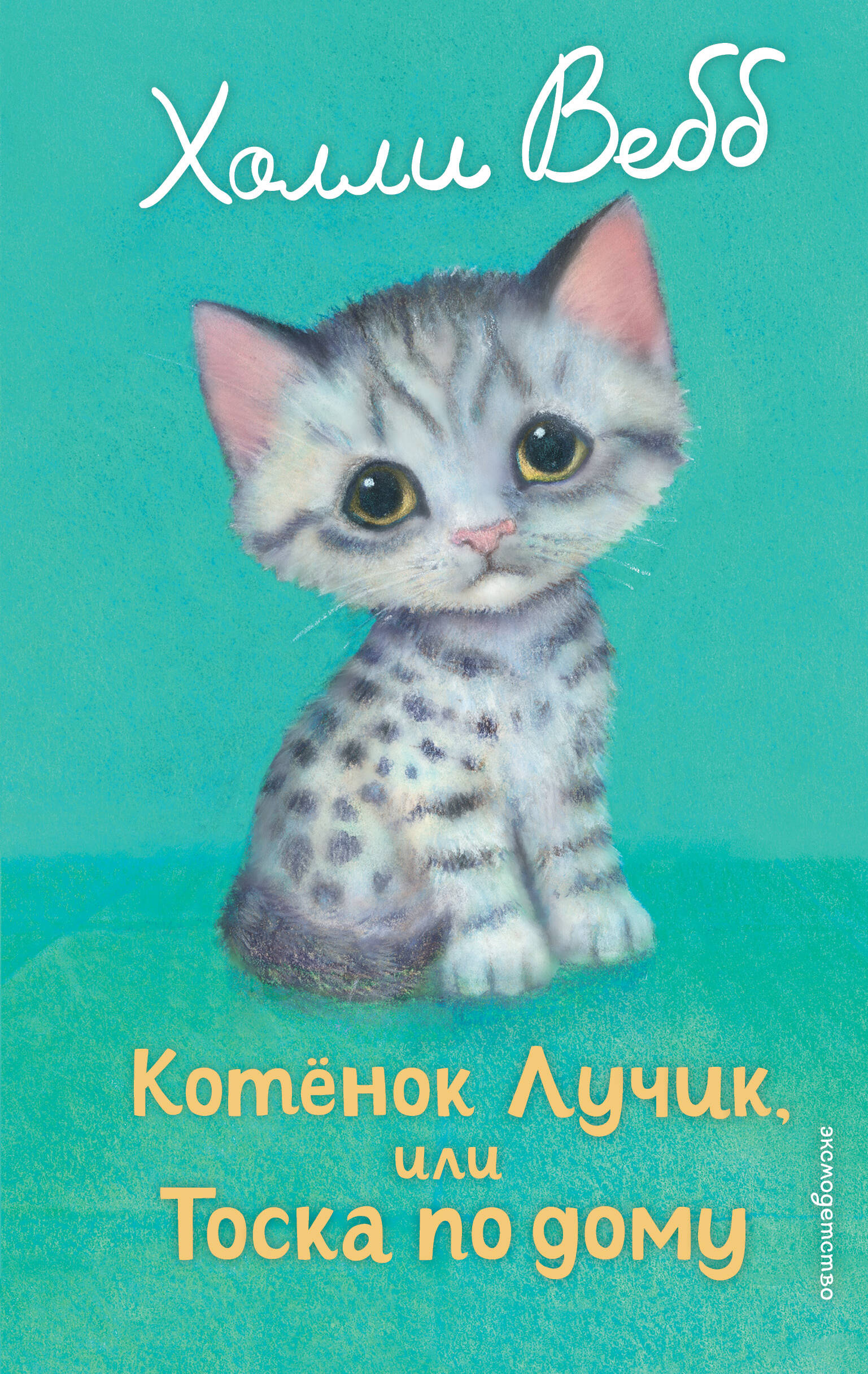 Котенок Лучик или тоска по дому