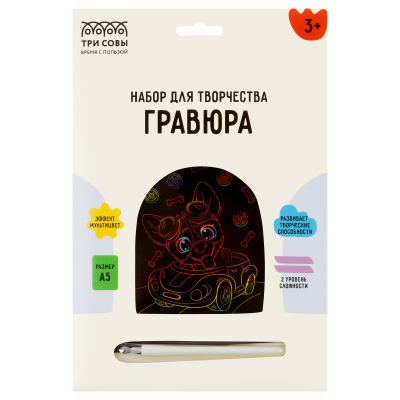Гравюра Гонщик мультицвет