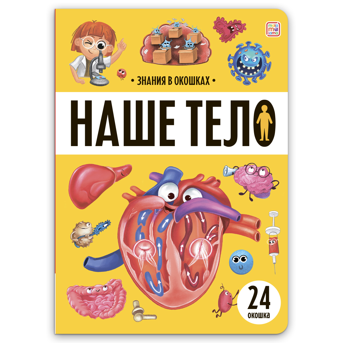 Наше тело