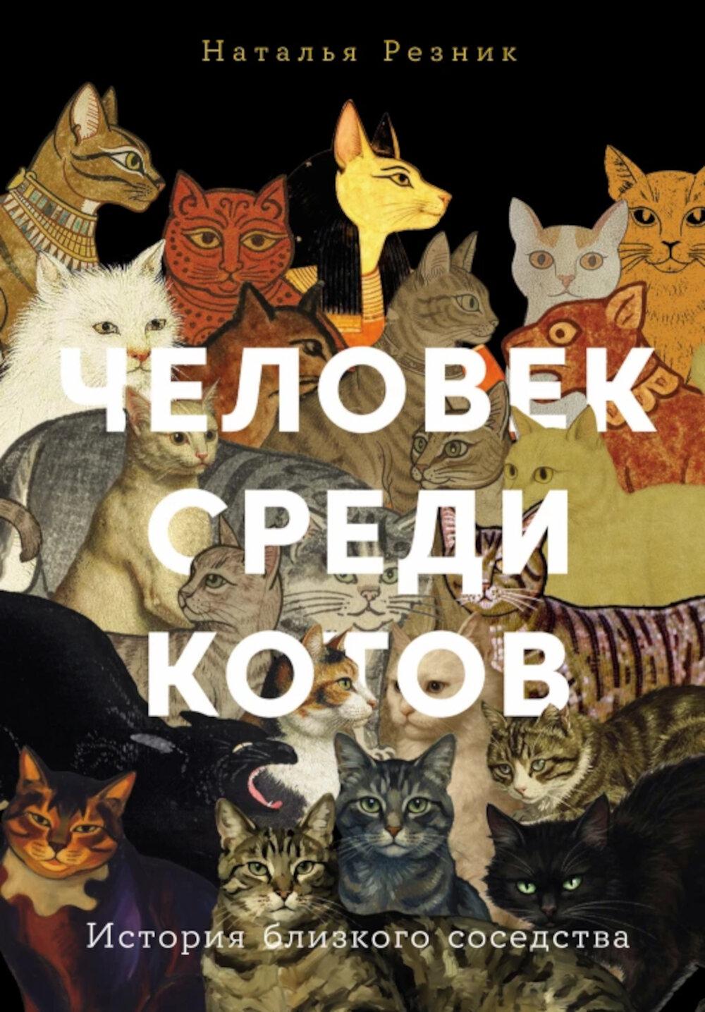 Человек среди котов