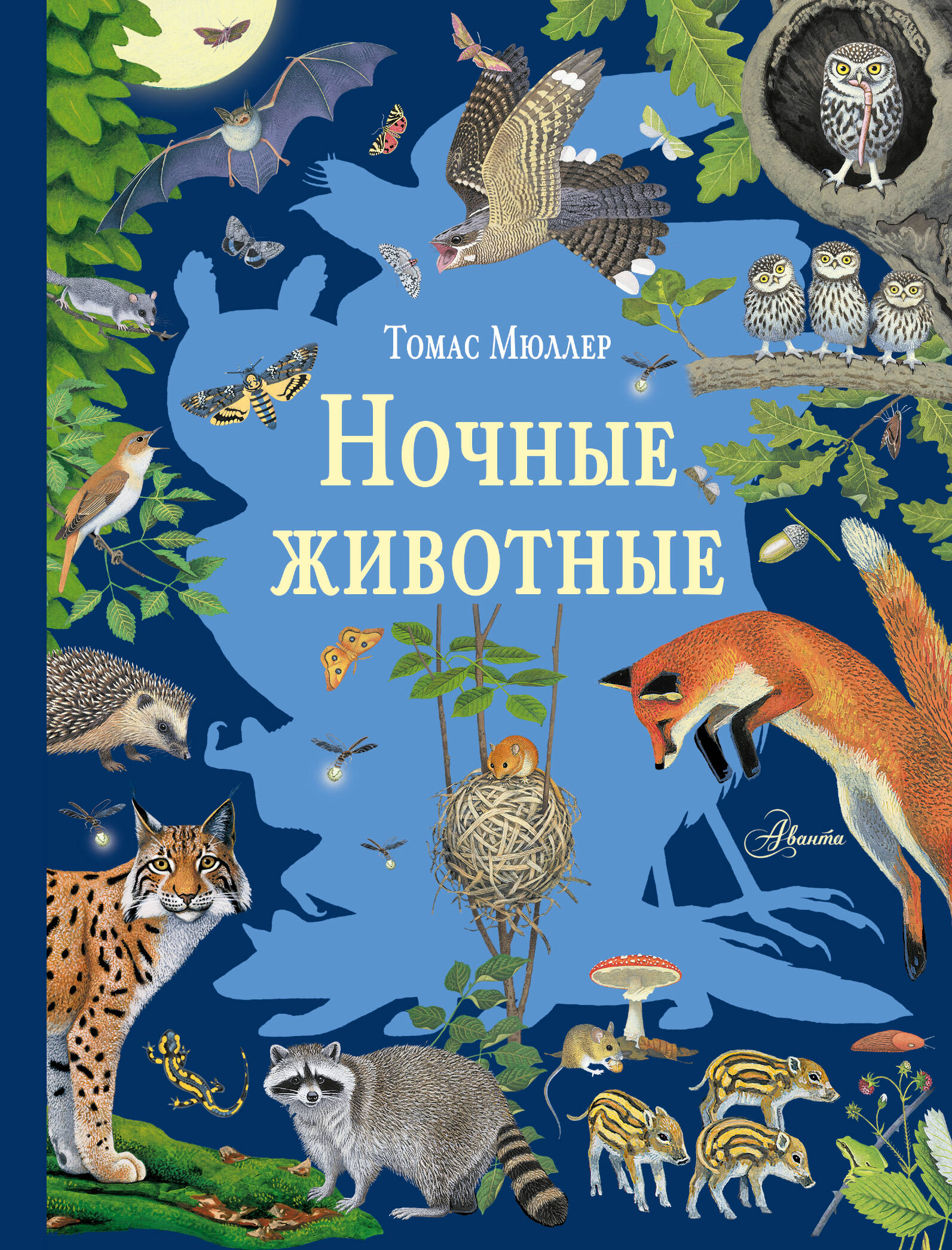 Ночные животные