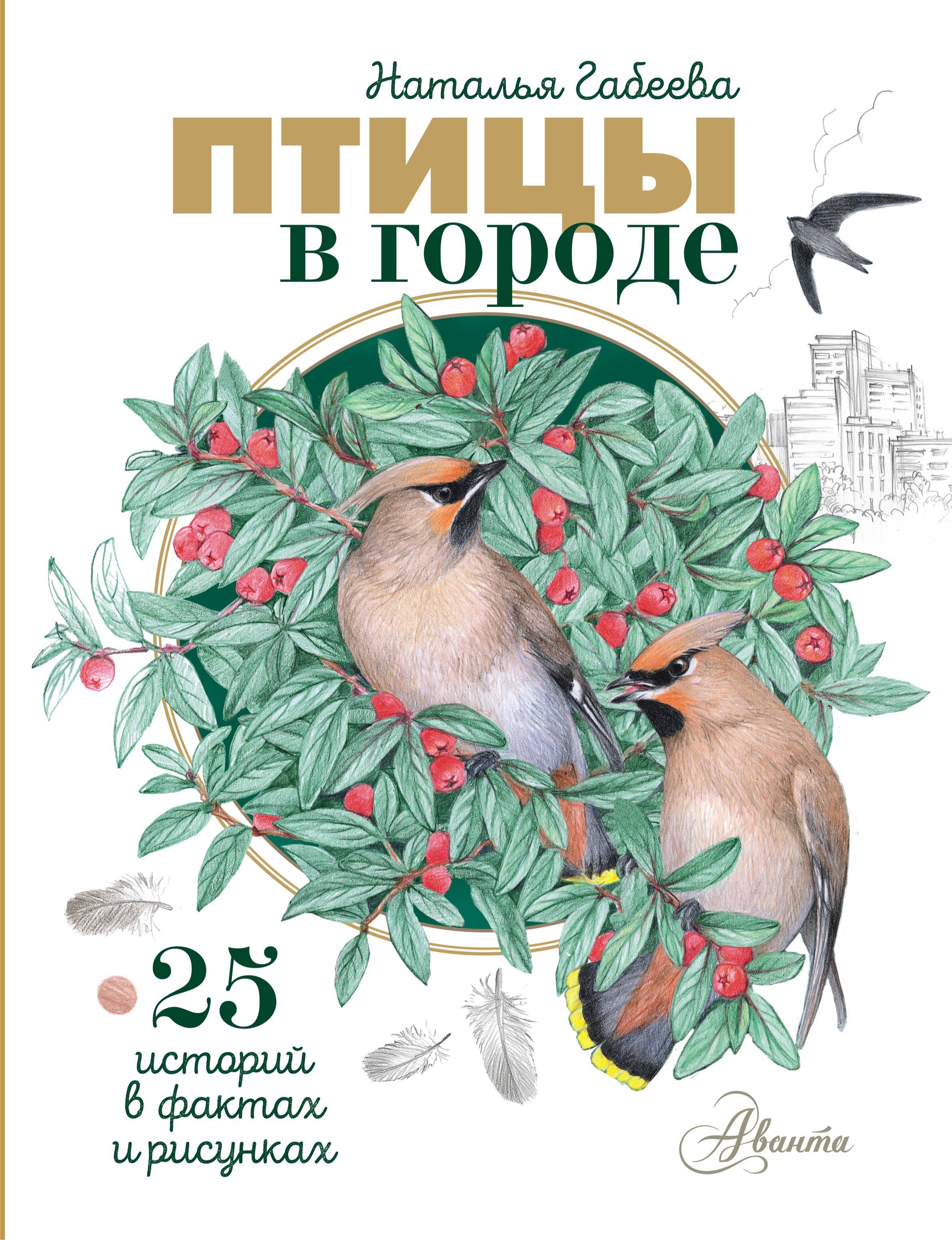 Птицы в городе 25 историй в фактах и рисунках