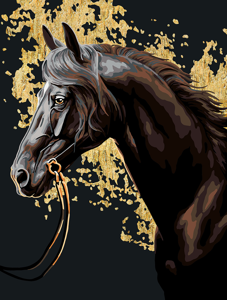 Картина по номерам 30*40 Вороной скакун черн