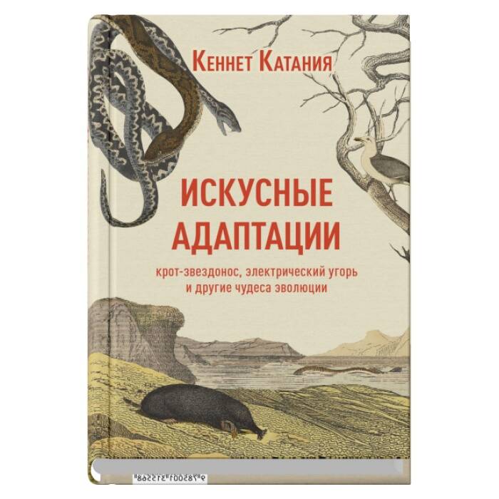 Искусные адаптации Крот-звезонос электрический угорь и другие чудеса эволюции