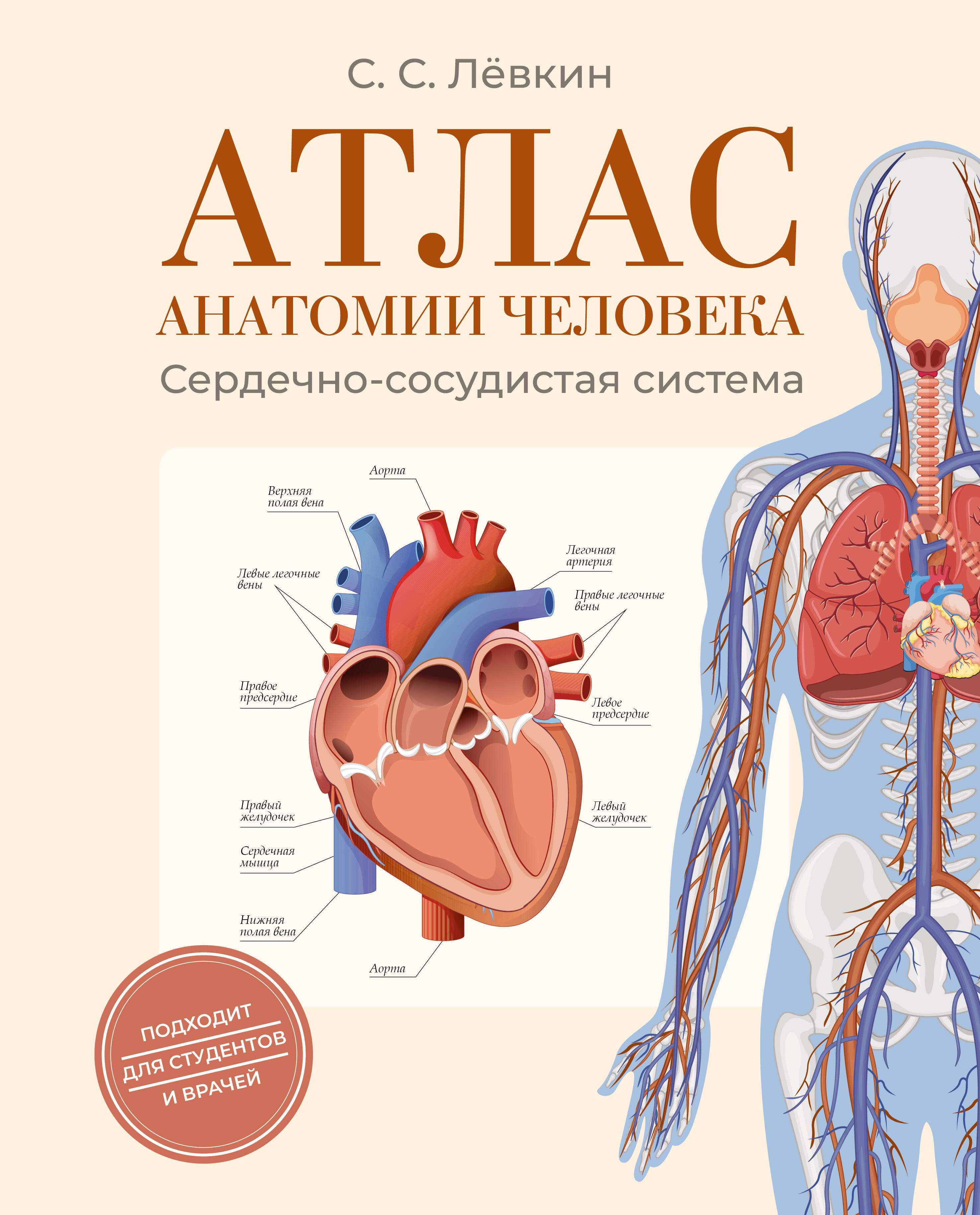 Атлас анатомии человека Сердечно-сосудистая система