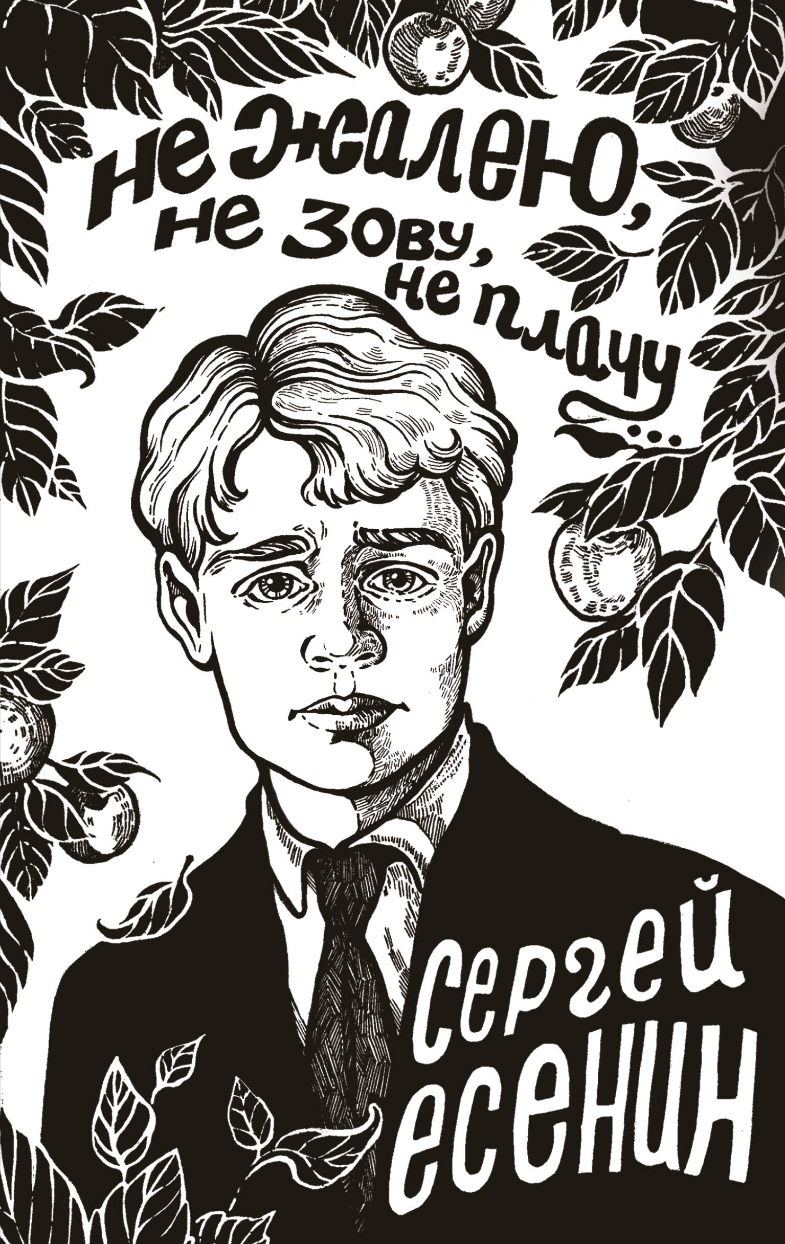 Не жалею не зову не плачу