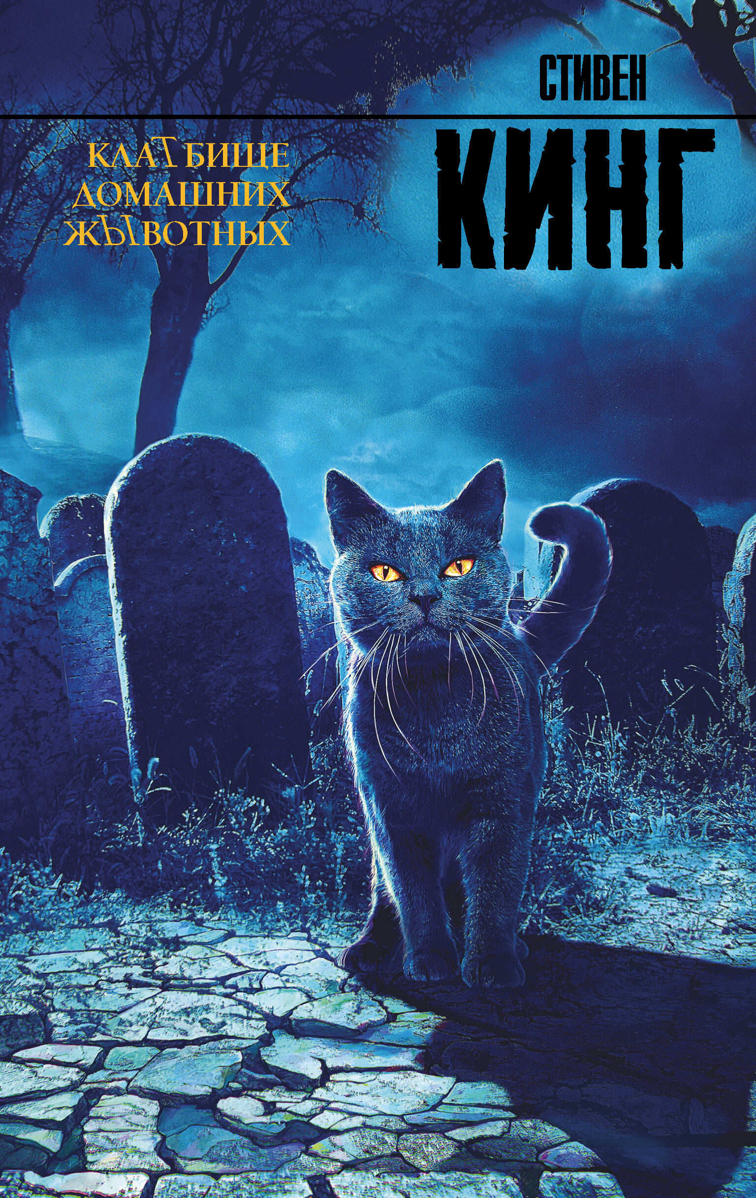 КлаТбище домашних жЫвотных