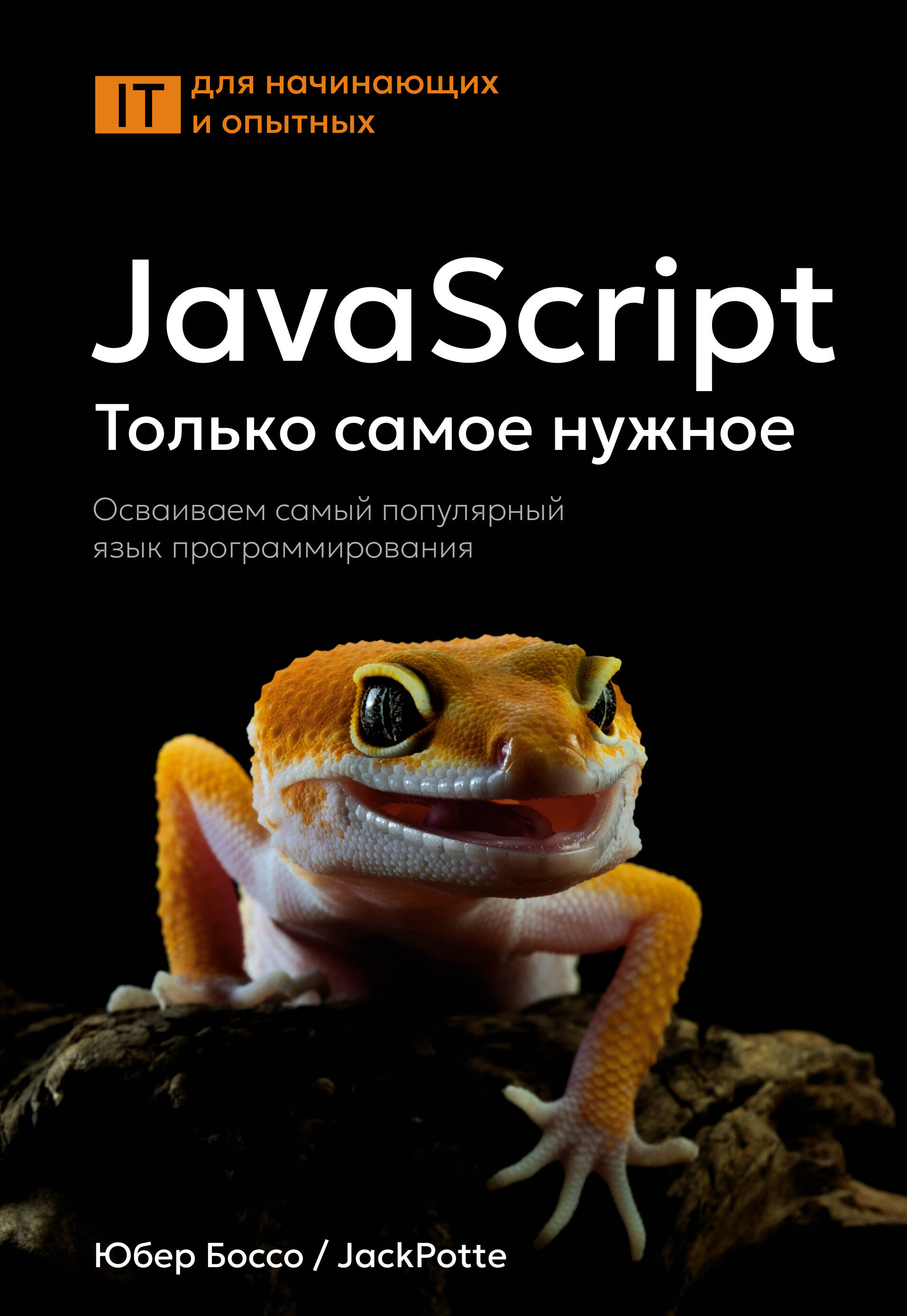 JavaScript Только самое нужное