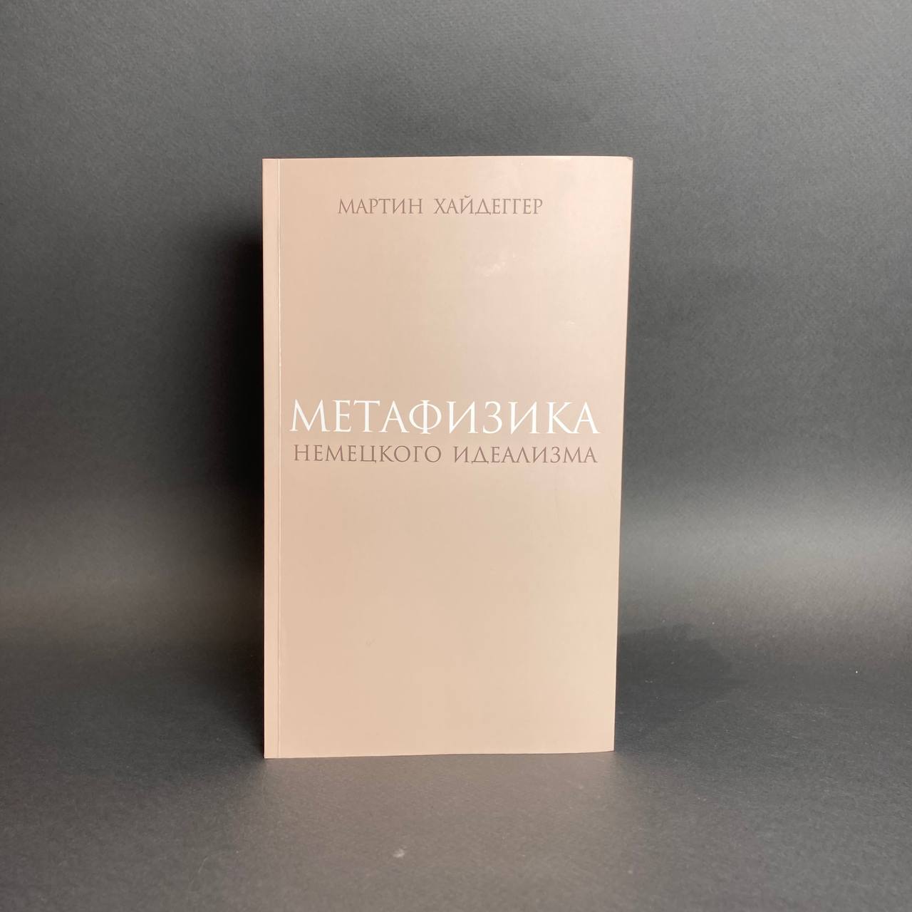 Метазифика немецкого идеализма