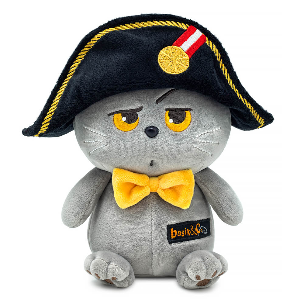 Кот Басик Наполеон