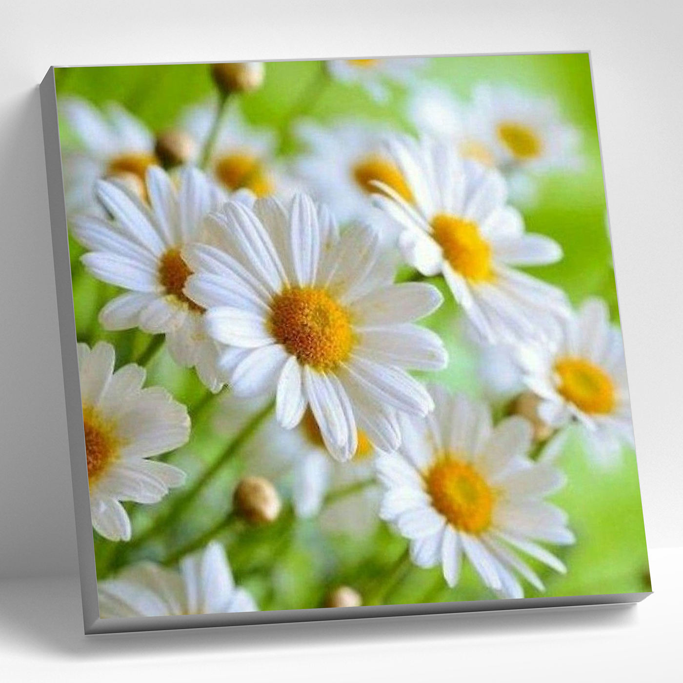 Алмазная мозаика Ромашки 30*30