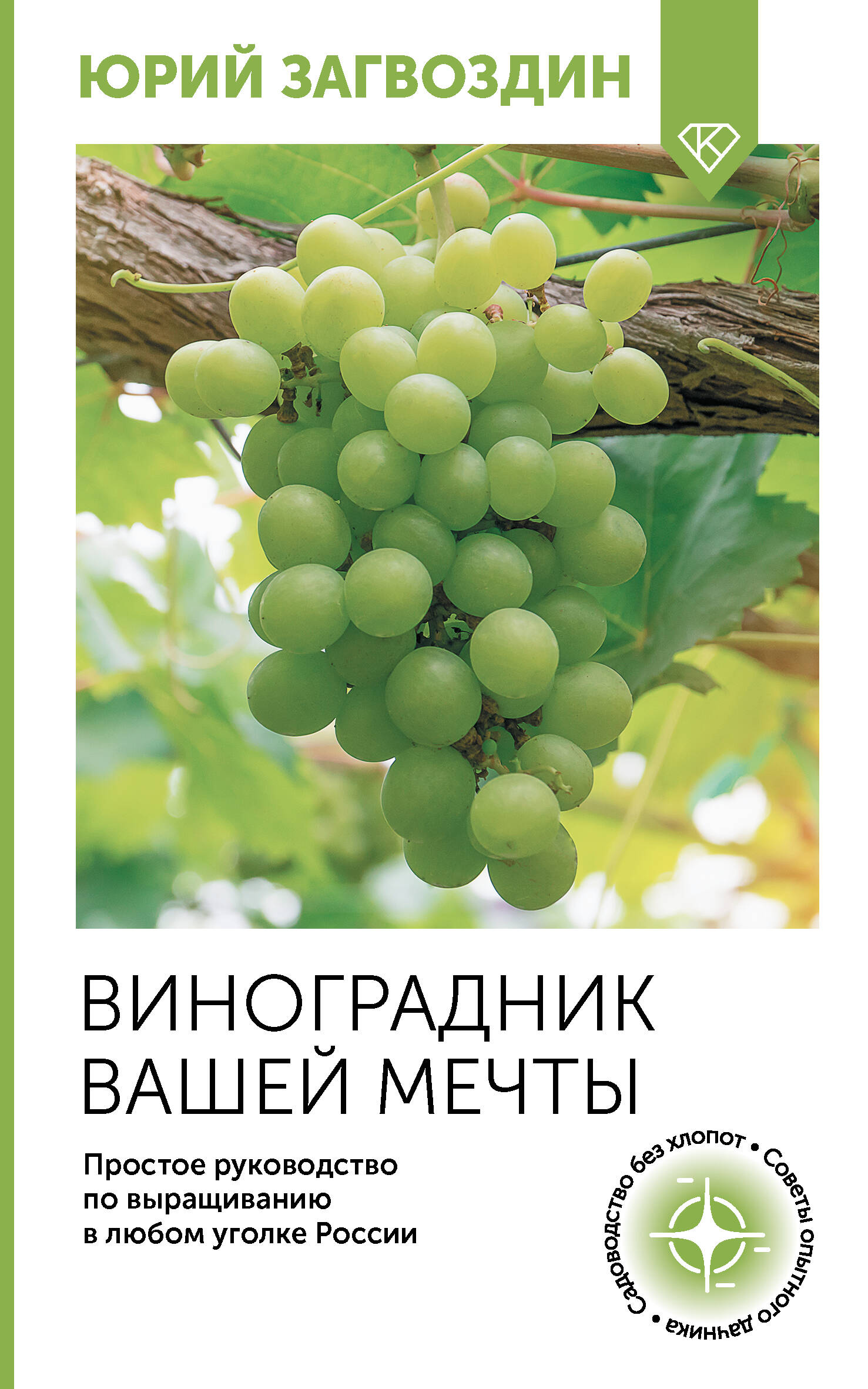 Виноградний вашей мечты Простое руководство по выращиванию в любом уголке России