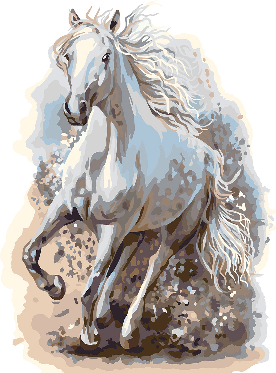 Картина по номерам 30*40 Со скоростью ветра