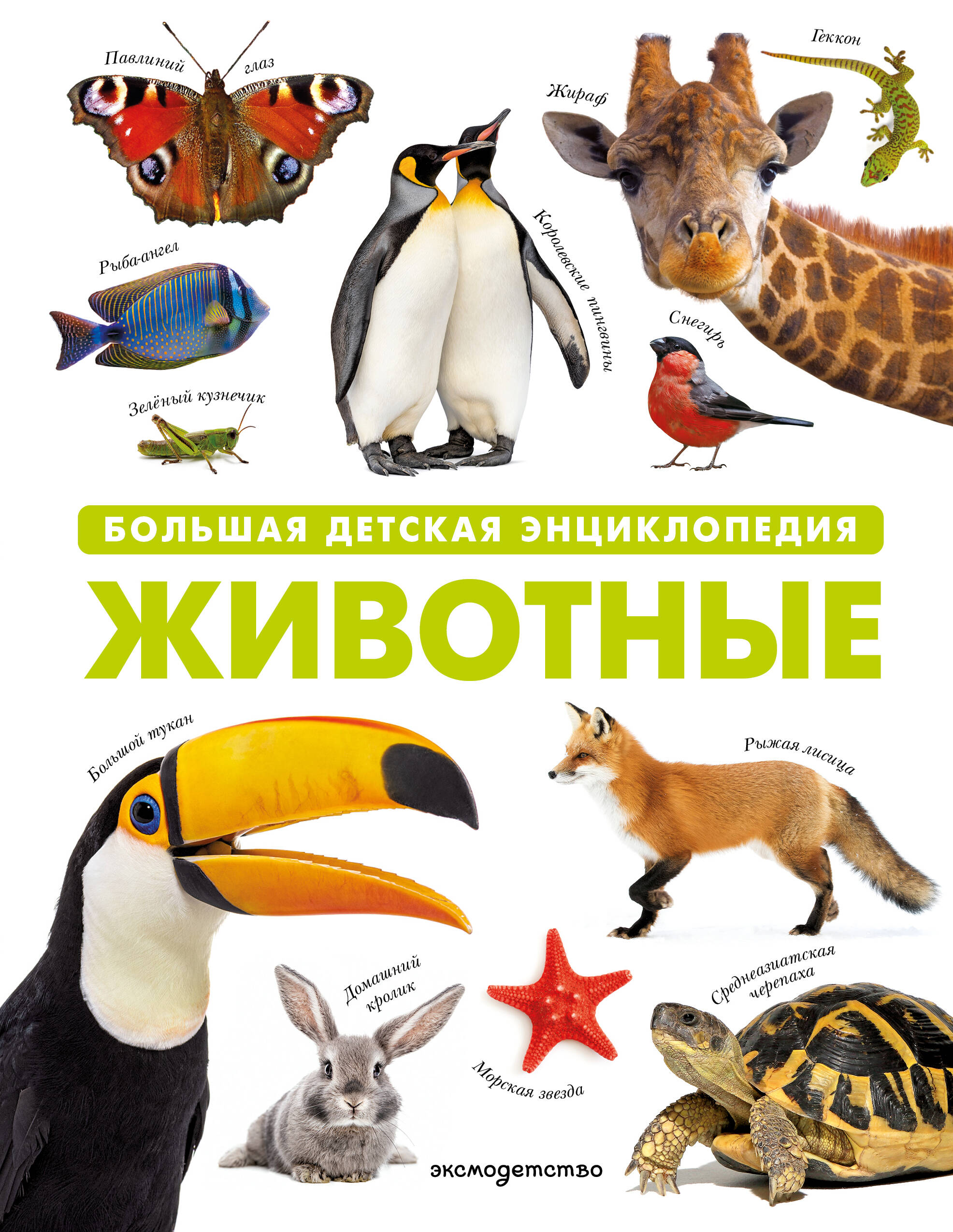 Животные Большая детская энциклопедия