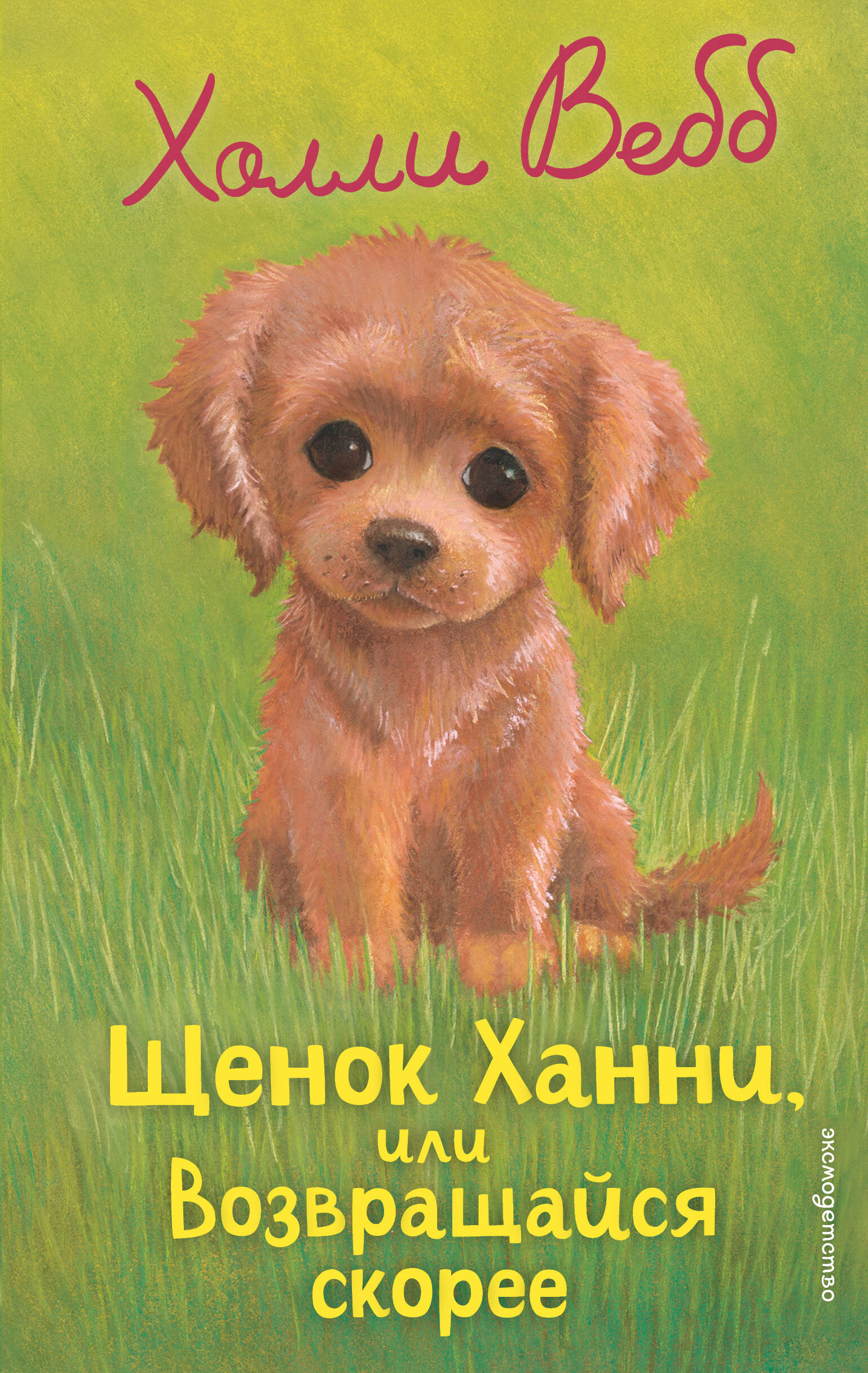 Щенок Ханнни, или Возвращайся скорее