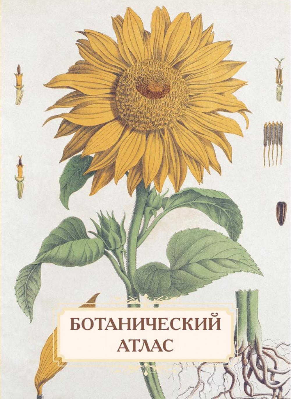 Ботанический атлас Животовского Н.
