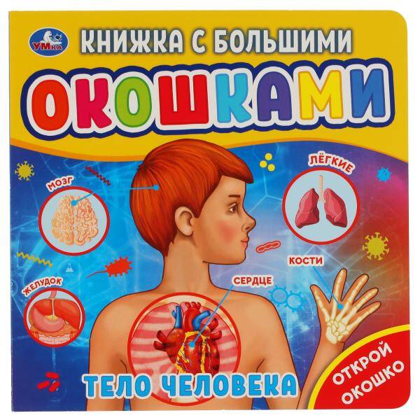Тело человека Книжка с большими окошками