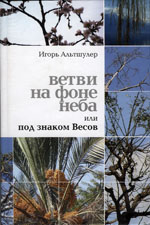 Ветки на фоне неба