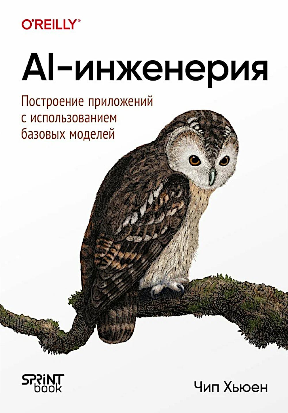 AI-инженерия. Построение приложений с использованием базовых моделей