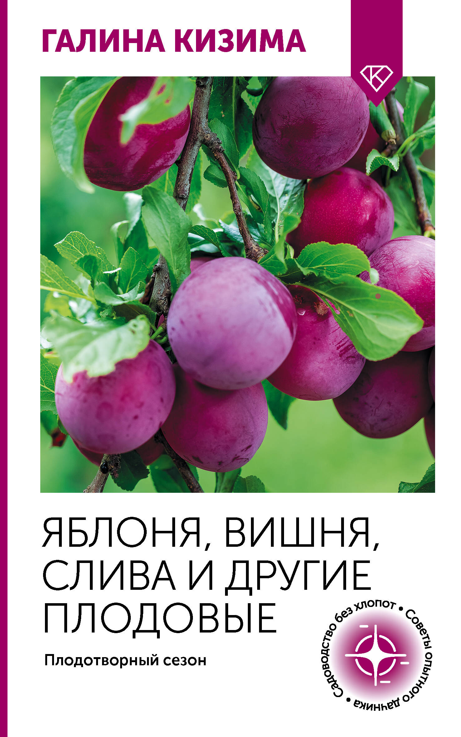 Яблоня вишня слива и другие плодовые Плодотворный сезон