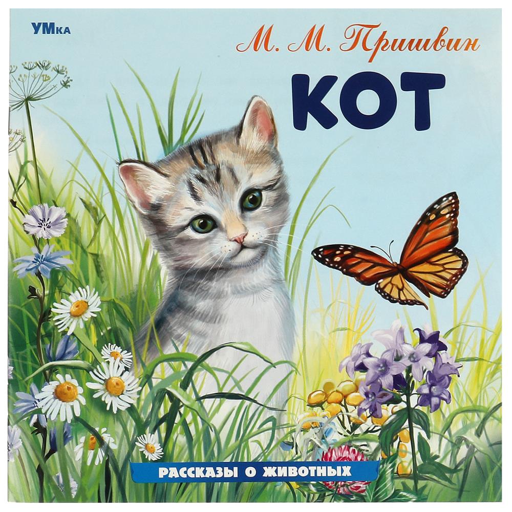 Кот