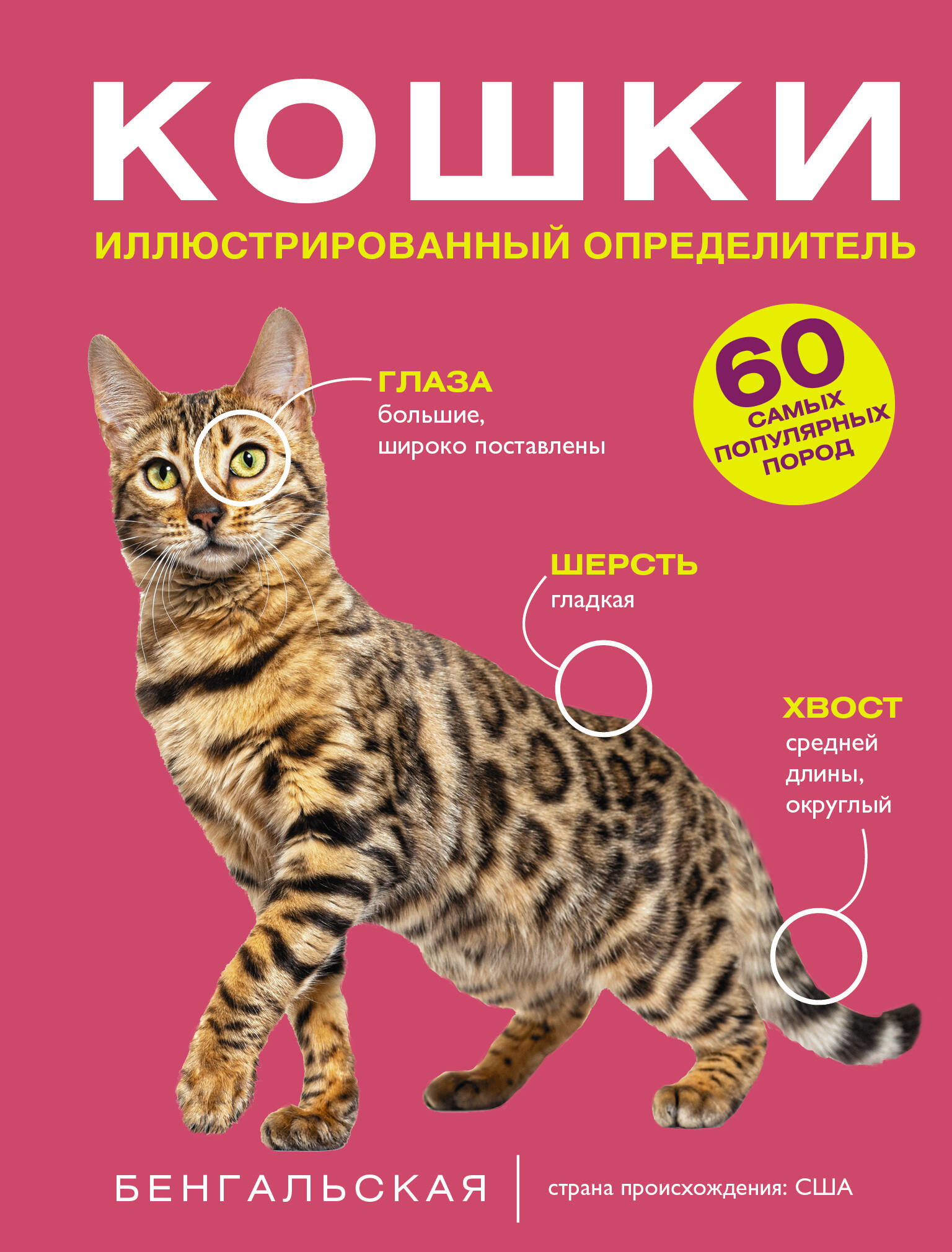 Кошки. 60 самых популярных пород. Иллюстрированный определитель