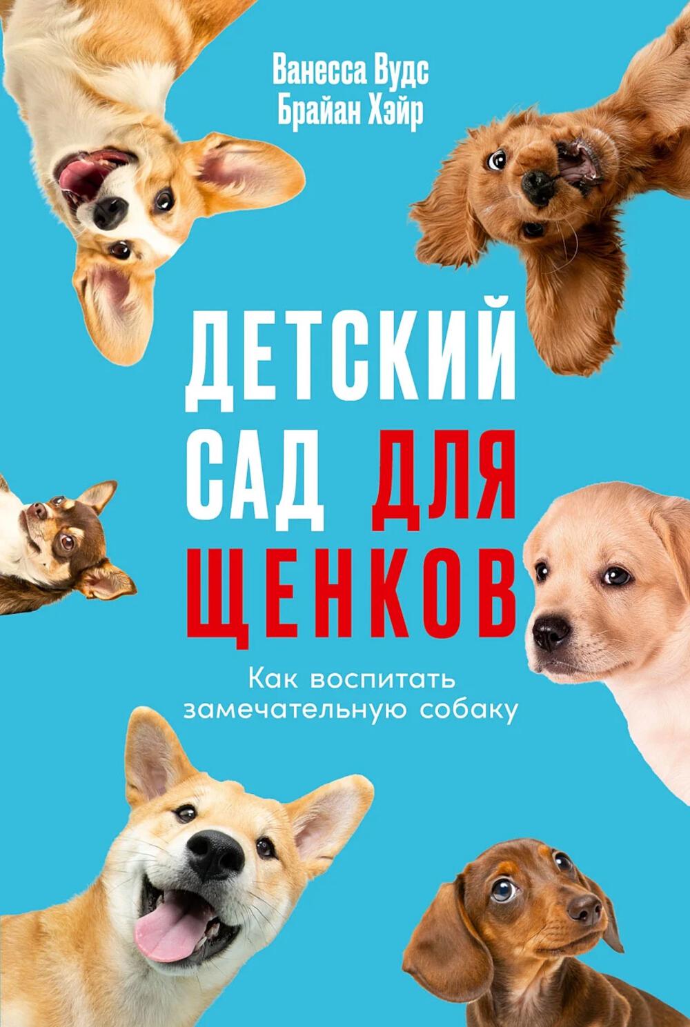 Детский сад для щенков: Как воспитать замечательную собаку