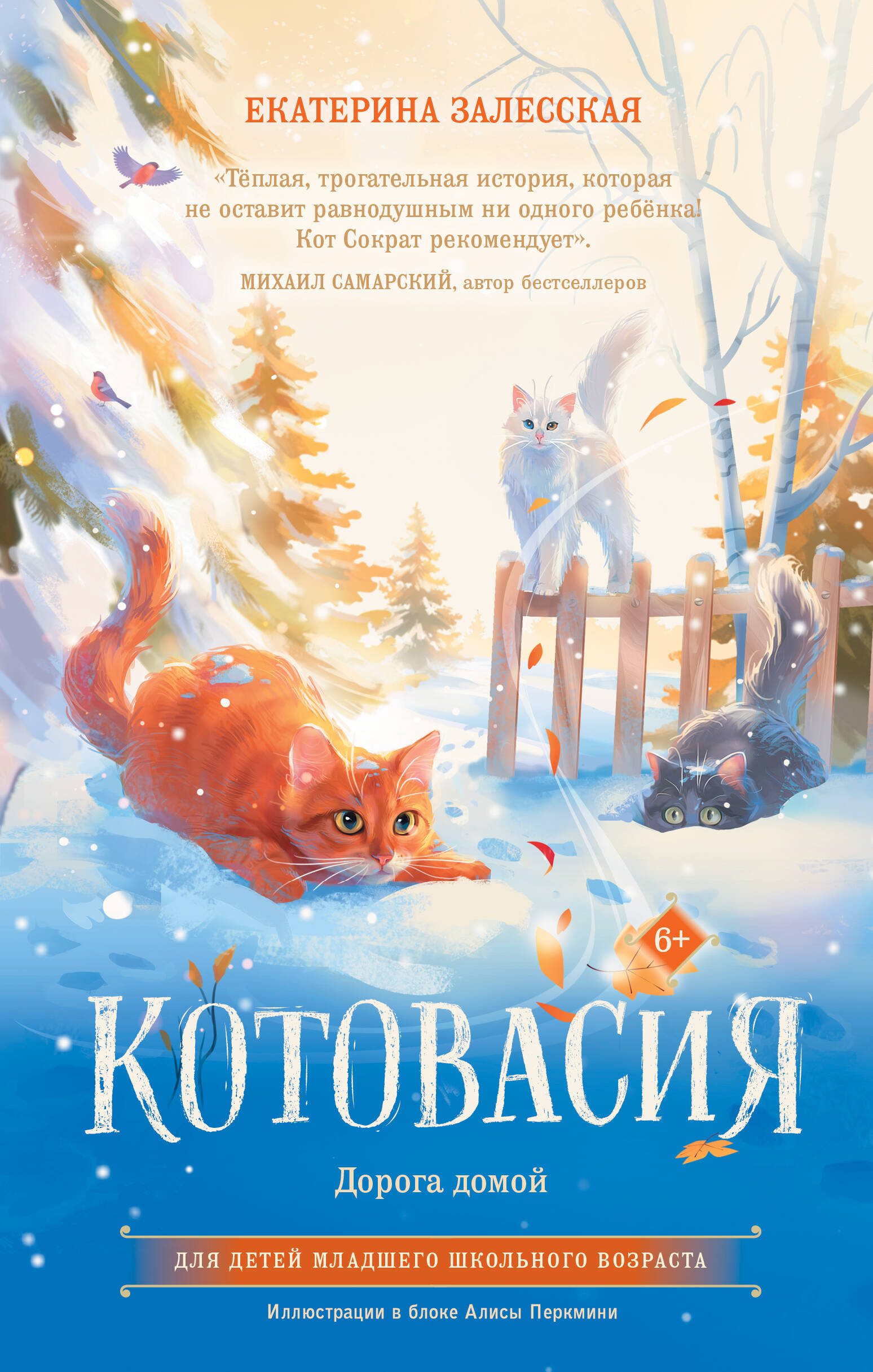 Котовасия Дорога домой