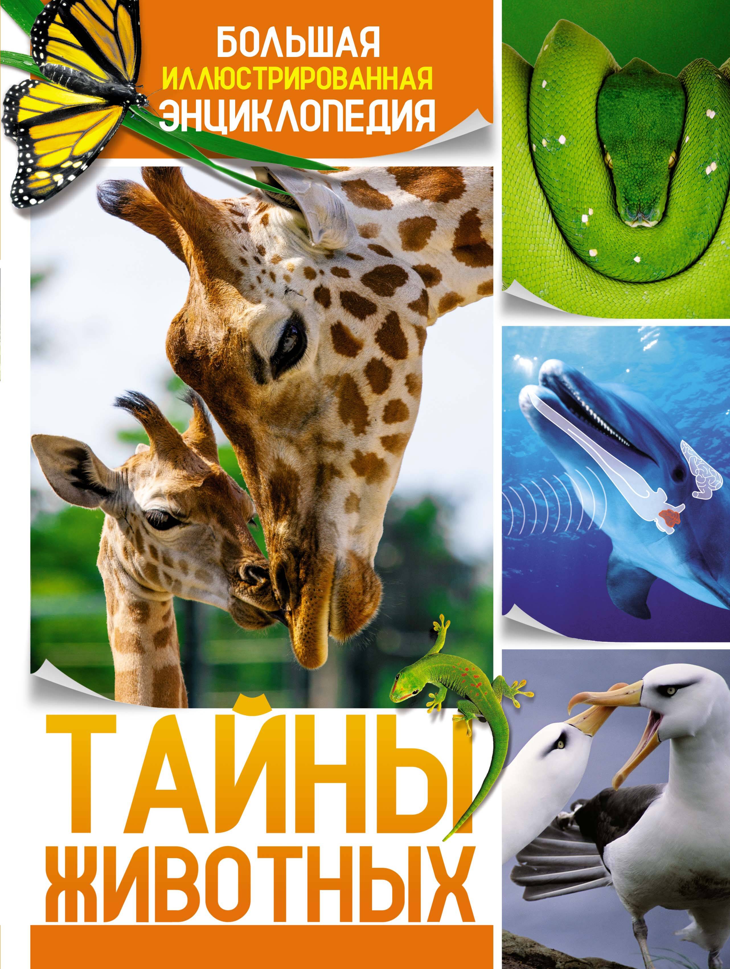 Тайны животных Большая иллюстрированная энциклопедия