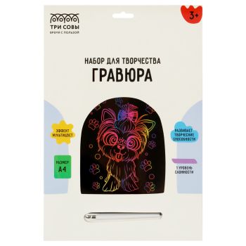 Гравюра Робот на скейте мультицвет