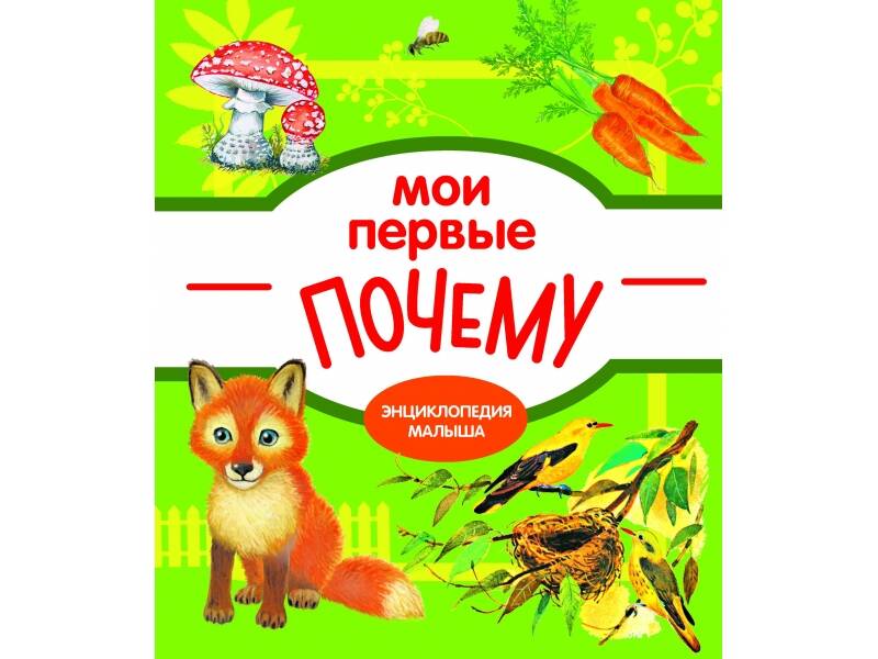 Мои первые почему