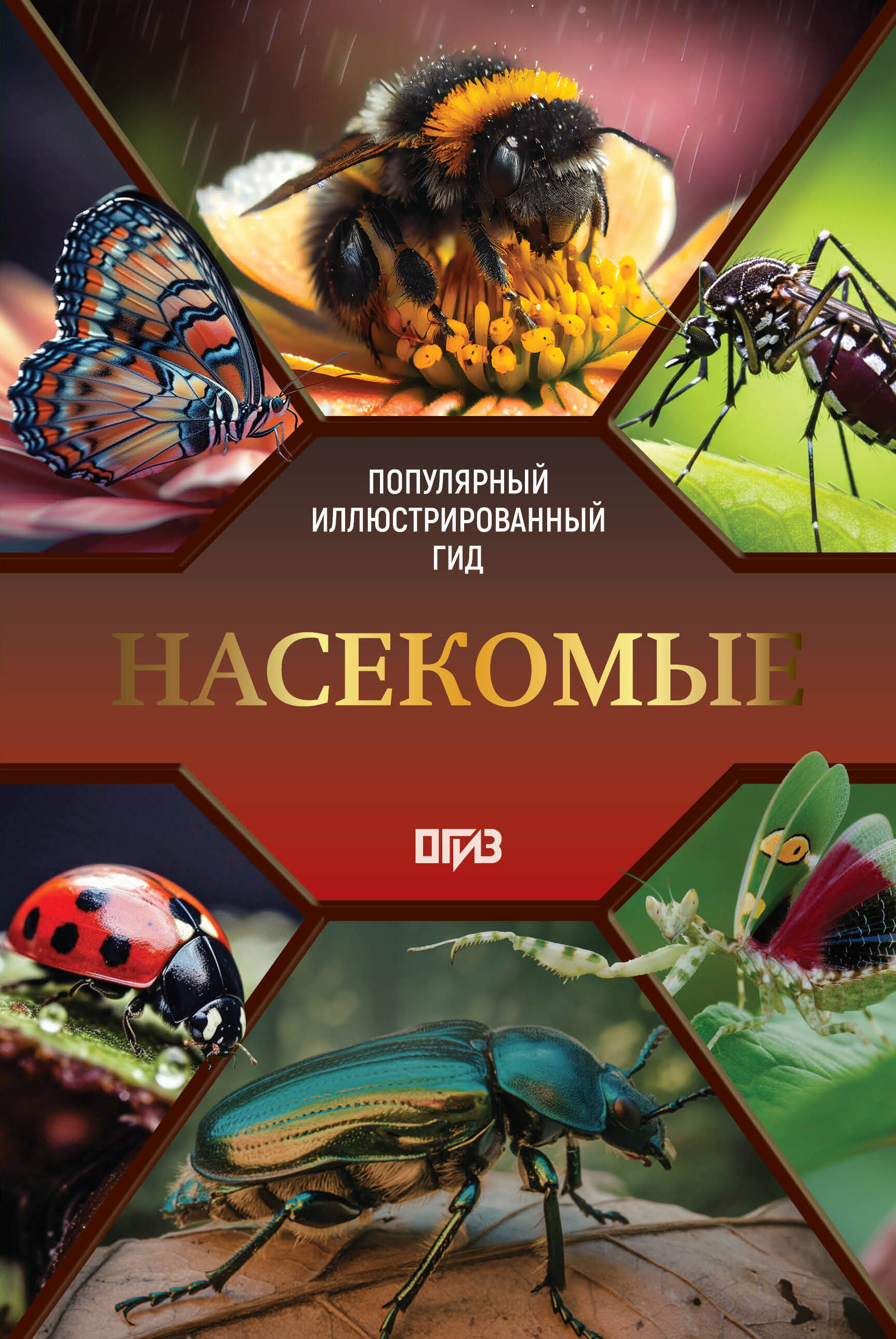 Насекомые Иллюстрированный гид