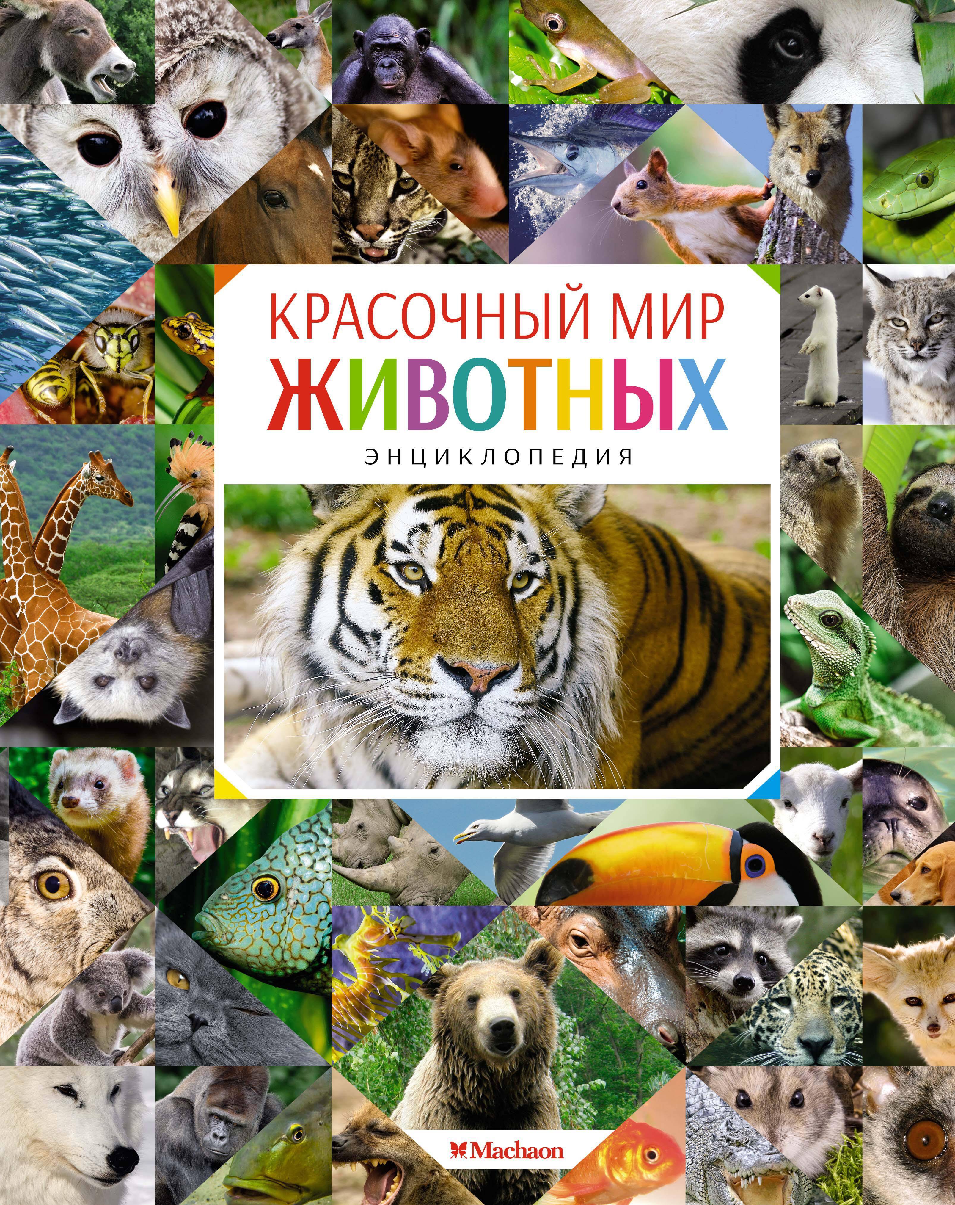 Красочный мир животных Энциклопедия